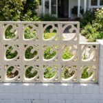 Celosia Corazón - Imagen 13