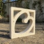 Celosia Corazón - Imagen 3