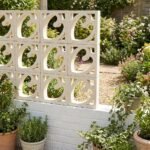 Celosia Corazón - Imagen 8