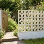 Celosia Cúspide - Imagen 2