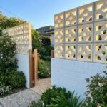 Celosia Cúspide - Imagen 3