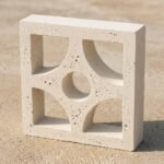 Celosia Cúspide - Imagen 4