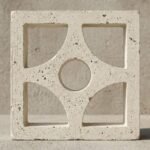 Celosia Cúspide - Imagen 6