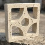 Celosia Cúspide - Imagen 8