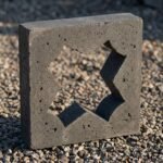 Celosia Corona - Imagen 10