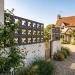 Celosia Corona - Imagen 12