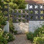 Celosia Corona - Imagen 13