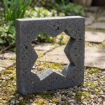 Celosia Corona - Imagen 3