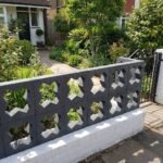 Celosia Corona - Imagen 6