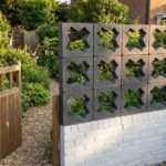 Celosia Corona - Imagen 7