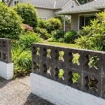 Celosia Corona - Imagen 8