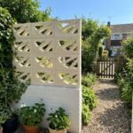 Celosía Isabela - Imagen 5